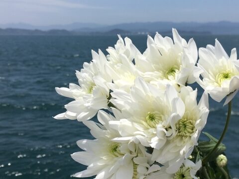お花の投下・汽笛